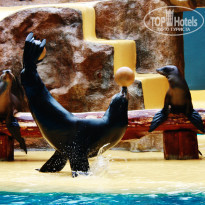 фото из отзыва ID 792025