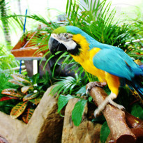 фото из отзыва ID 792025