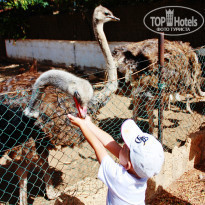 фото из отзыва ID 792025