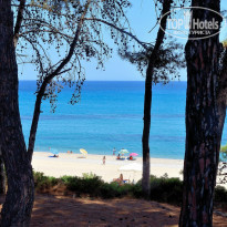 фото из отзыва ID 792268