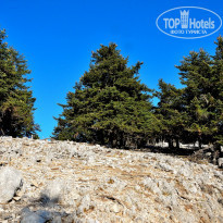 фото из отзыва ID 792268