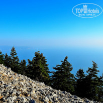 фото из отзыва ID 792268