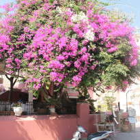 фото из отзыва ID 792404