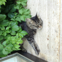 фото из отзыва ID 792405