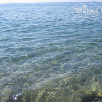 фото из отзыва ID 792447