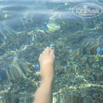 фото из отзыва ID 792447