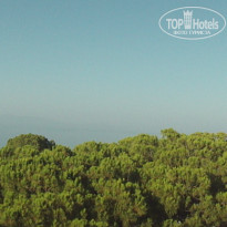 фото из отзыва ID 792466