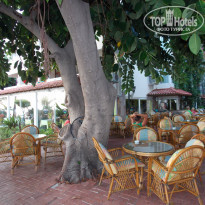 фото из отзыва ID 792736