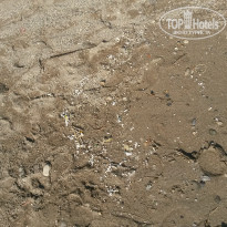 фото из отзыва ID 792751