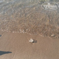 фото из отзыва ID 792751