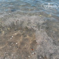 фото из отзыва ID 792751