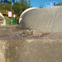 фото из отзыва ID 792751