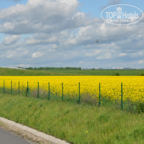 фото из отзыва ID 792812