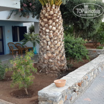 фото из отзыва ID 792925