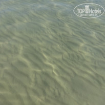 фото из отзыва ID 792435