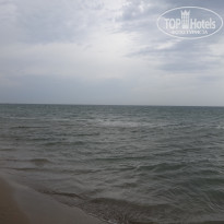 фото из отзыва ID 792435