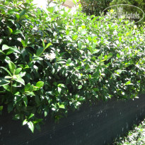 фото из отзыва ID 792435