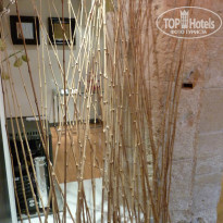 фото из отзыва ID 793280