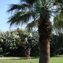 фото из отзыва ID 793331