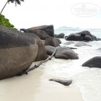 фото из отзыва ID 793335