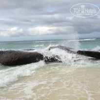 фото из отзыва ID 793335