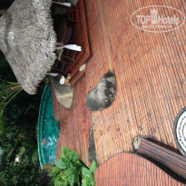 фото из отзыва ID 793335