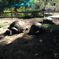 фото из отзыва ID 793335