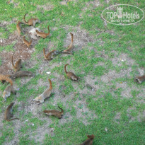 фото из отзыва ID 793375