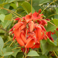 фото из отзыва ID 793657