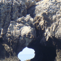 фото из отзыва ID 793652