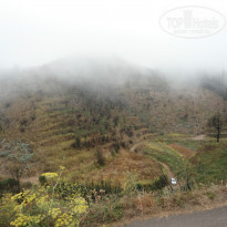 фото из отзыва ID 793698