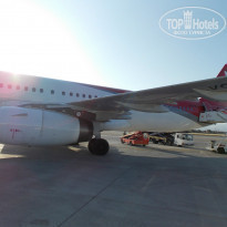 фото из отзыва ID 793768