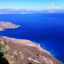 фото из отзыва ID 793833