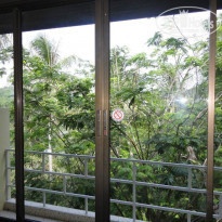 фото из отзыва ID 793882