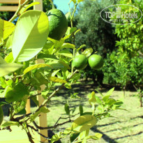 фото из отзыва ID 793885