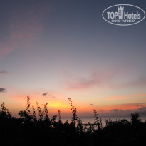 фото из отзыва ID 793920