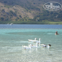 фото из отзыва ID 793262