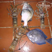 фото из отзыва ID 793425