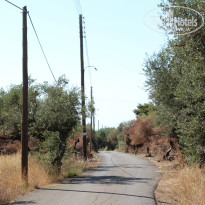 фото из отзыва ID 794002