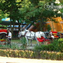 фото из отзыва ID 794054