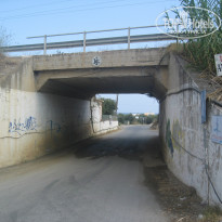 фото из отзыва ID 794374