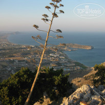 фото из отзыва ID 794555