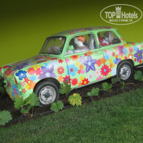 фото из отзыва ID 794563