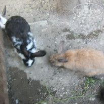 фото из отзыва ID 794563