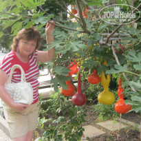 фото из отзыва ID 794563