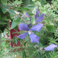 фото из отзыва ID 794563