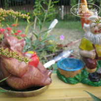 фото из отзыва ID 794563