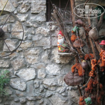 фото из отзыва ID 794563