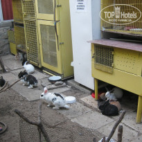 фото из отзыва ID 794563