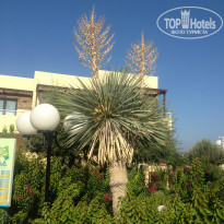 фото из отзыва ID 794953